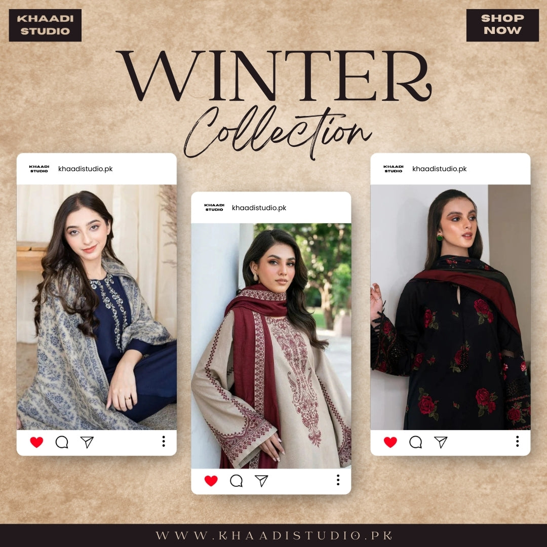 3Pcs Embroirered Dhanak Suit